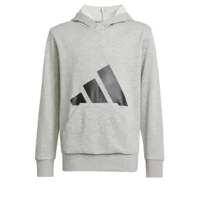 Tüdrukute kapuutsiga dressipluus Adidas Big Logo French Terry Hd Helehall