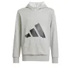 Džemperis Meitenēm ar Kapuci Adidas Big Logo French Terry Hd Gaiši pelēks