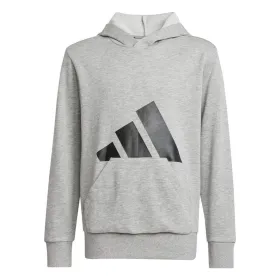Tüdrukute kapuutsiga dressipluus Adidas Big Logo French Terry Hd Helehall