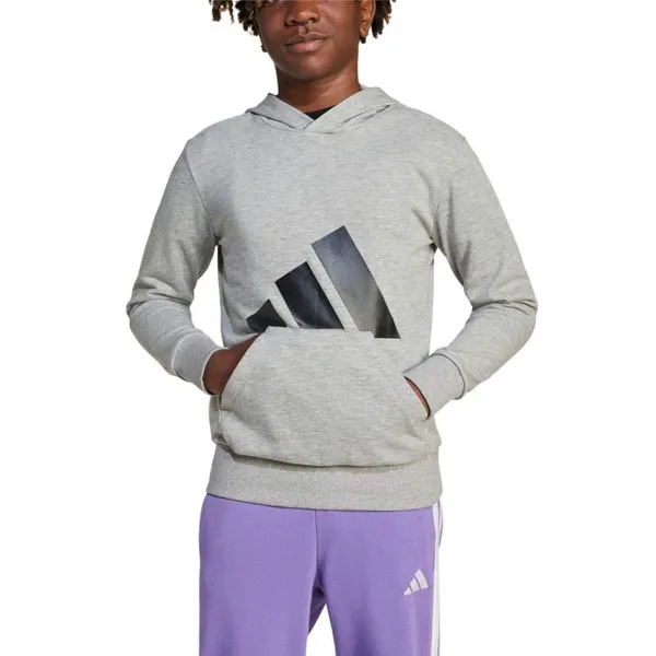 Džemperis Meitenēm ar Kapuci Adidas Big Logo French Terry Hd Gaiši pelēks