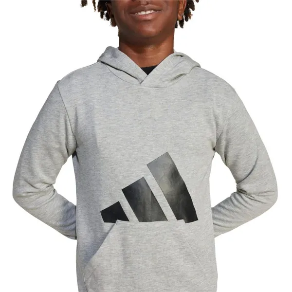 Džemperis Meitenēm ar Kapuci Adidas Big Logo French Terry Hd Gaiši pelēks