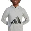 Džemperis Meitenēm ar Kapuci Adidas Big Logo French Terry Hd Gaiši pelēks