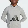 Džemperis Meitenēm ar Kapuci Adidas Big Logo French Terry Hd Gaiši pelēks