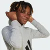 Džemperis Meitenēm ar Kapuci Adidas Big Logo French Terry Hd Gaiši pelēks