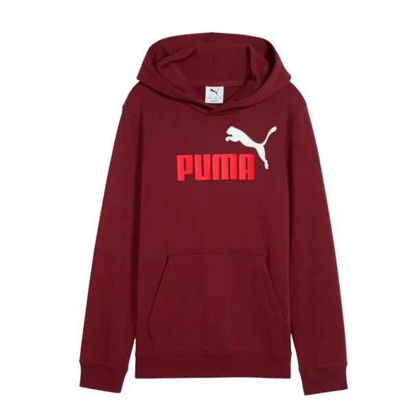 Džemperis Meitenēm ar Kapuci Puma Essentials 2 Color No.1 Log Sarkanbrūns Tumši Sarkans