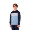 Bērnu Sporta Krekls ar Kapuci Champion Icons Plus Zils Indigo