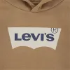 Uniseksinis džemperis su gobtuvu Levi's Lvb Batwing Screenprint Hoodie Ruda
