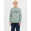 Vaikiškas džemperis be gobtuvo Jack & Jones Jjgeplas Crew Neck Mėlyna