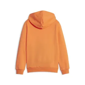 Толстовка с капюшоном детская Puma Ess