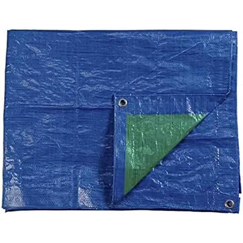 Markiisi EDM 74994 Sininen Vihreä Sininen/Vihreä Polyetyleeni 90 g/m² 5 x 8 cm 5 x 8 m Kaksipuolinen