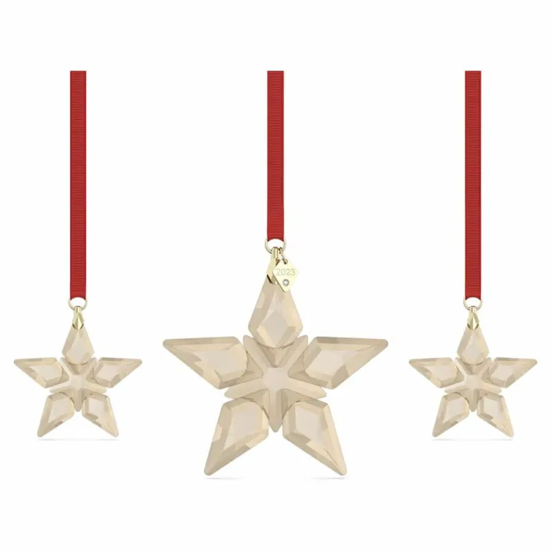 Christmas star Swarovski Grey Resin 10 cm