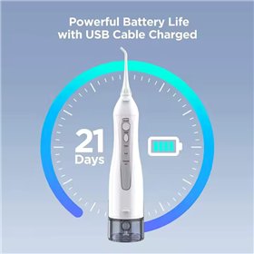 Irigatorius Reach FW-1 baltas