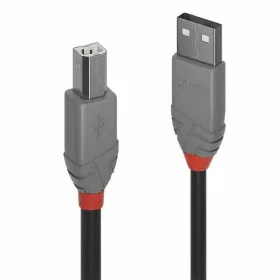 USB A - USB B kabelis LINDY Pilka 3 m