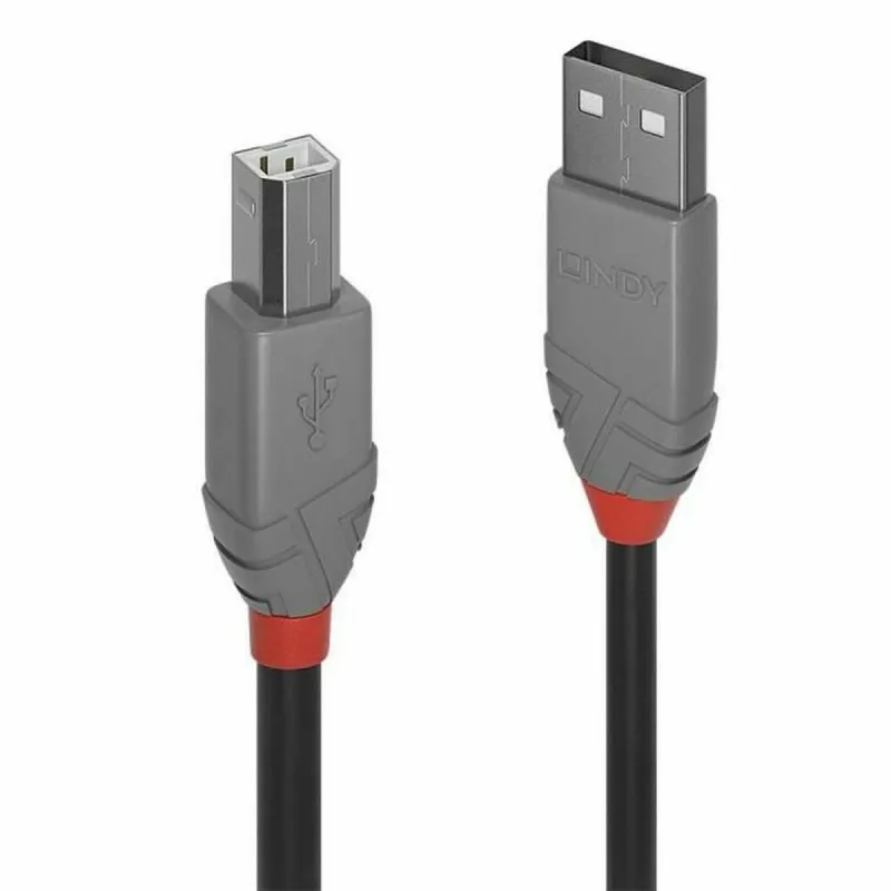 USB A - USB B kabelis LINDY Pilka 3 m