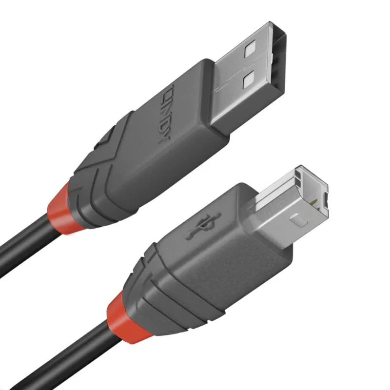USB A - USB B kabelis LINDY Juoda 5 m (1 vnt.)