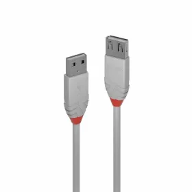 USB laidas LINDY Pilka