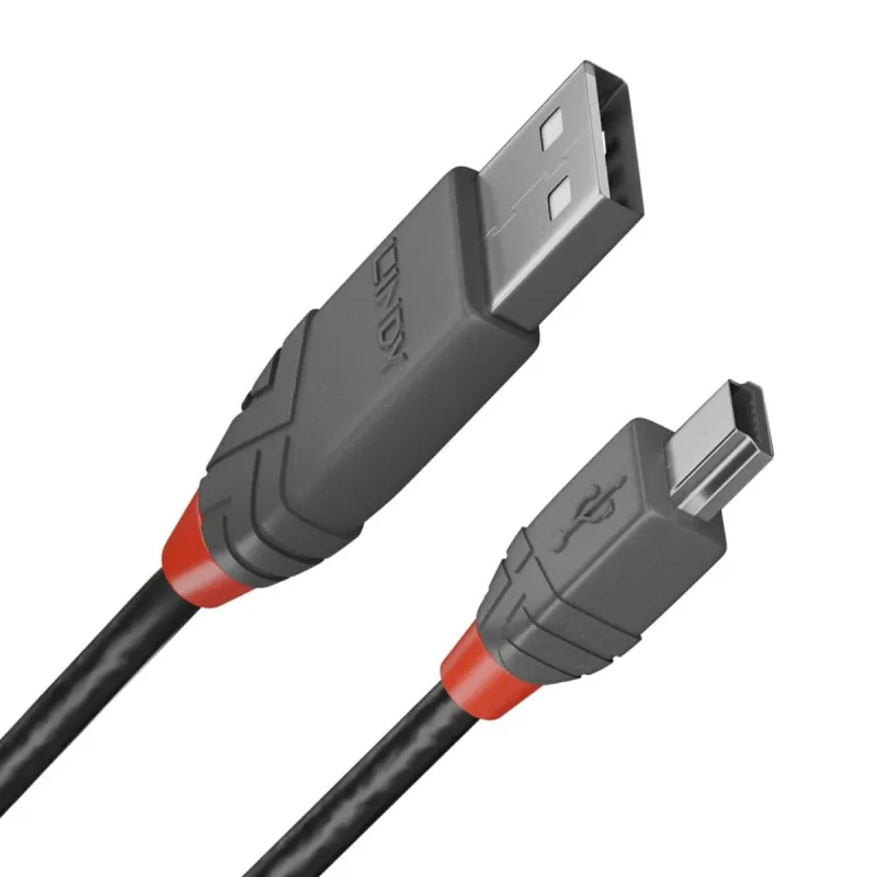 USB 2.0 A - Mini USB B kabelis LINDY 2 m Juoda (1 vnt.)