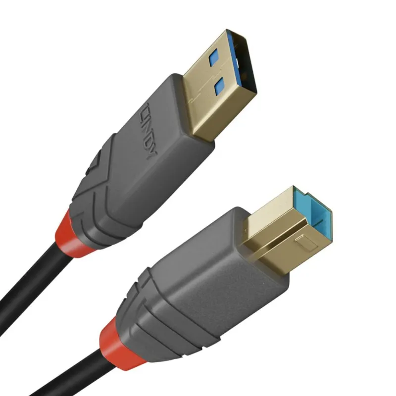 USB laidas LINDY Juoda 3 m (1 vnt.)