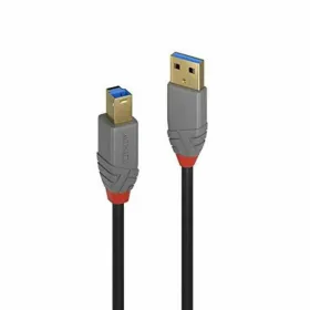 USB laidas LINDY Pilka 5 m