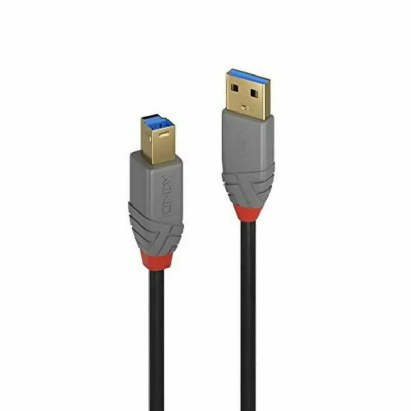 USB laidas LINDY Pilka 5 m