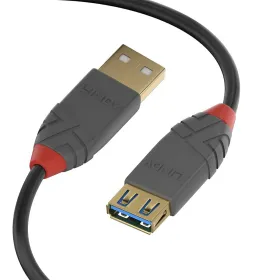 USB laidas LINDY Juoda 50 cm