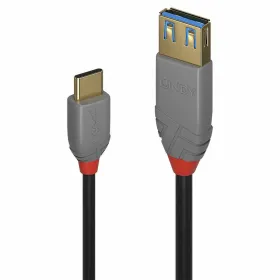 USB-C – DisplayPort adapteris LINDY Juoda 150 cm