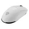Pele Genesis Zircon 660 Balts