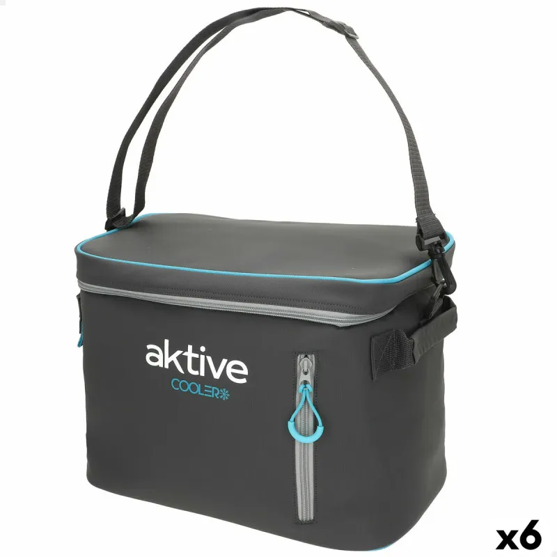 Nešiojamas šaldytuvas Aktive 18 L 34 x 26 x 21 cm Juoda (6 vnt.)