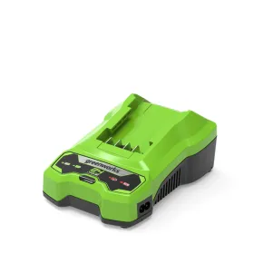 Литиевый аккумулятор Greenworks 2932407 220-240 V