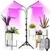LED lamp for growing plants Reach 4X