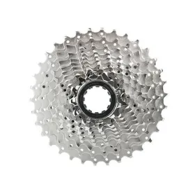 Pušų riešutai Shimano ICSHG50010134