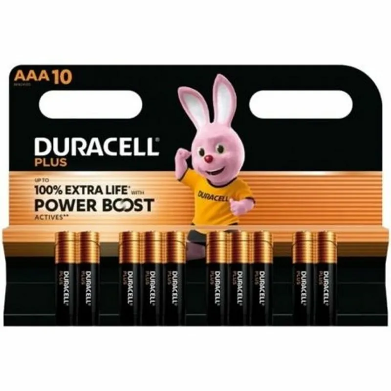 Atkārtoti Uzlādējamas Baterijas DURACELL DPBLR3B10 1,5 V AAA