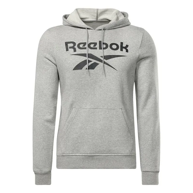 Vyriškas džemperis su gobtuvu Reebok FT BIG LOGO OTH HZ8786  Pilka
