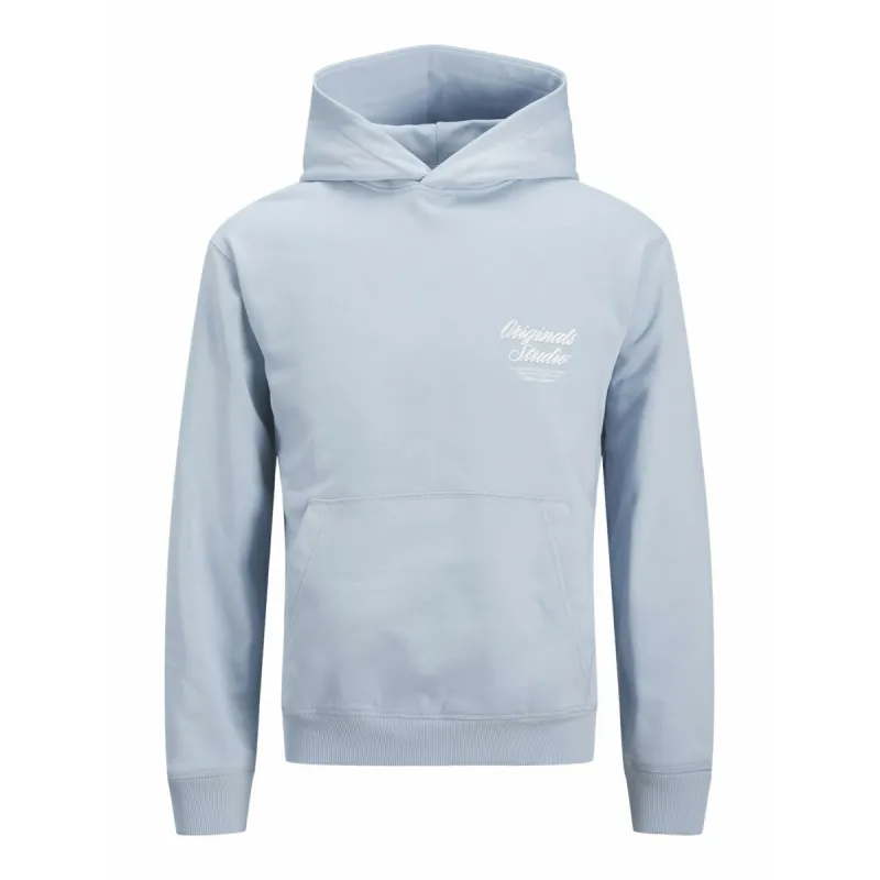 Vyriškas džemperis su gobtuvu Jack & Jones JORNORREBRO TYPO BACK SWEAT HOOD SN 12283054 Mėlyna