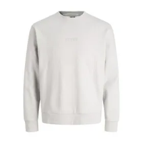 Vyriškas džemperis be gobtuvo Jack & Jones JCOSTANCE SWEAT CREW NECK 12282821 Pilka