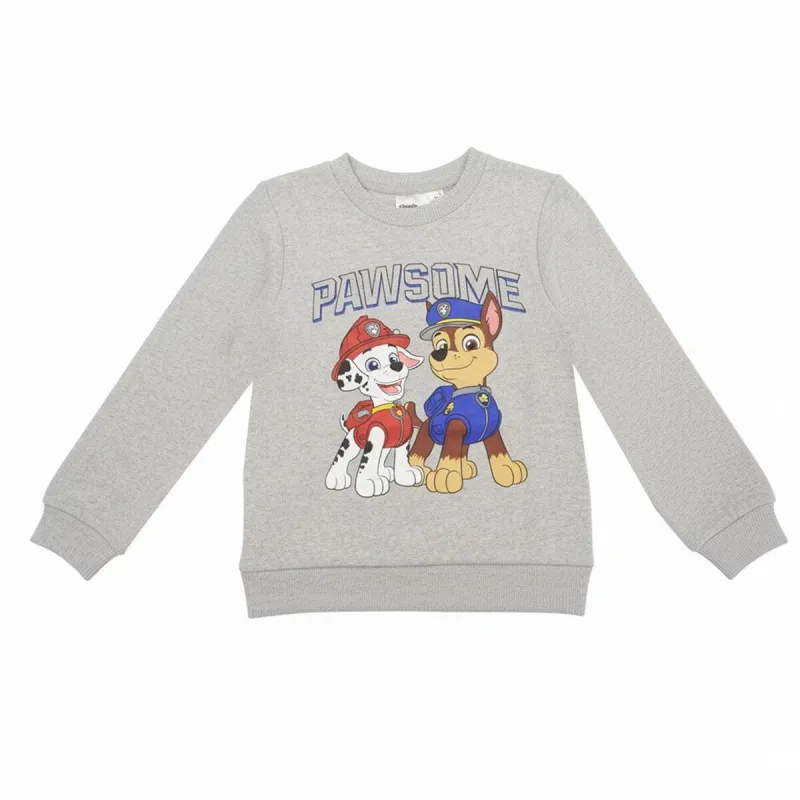 Детская толстовка The Paw Patrol Серый