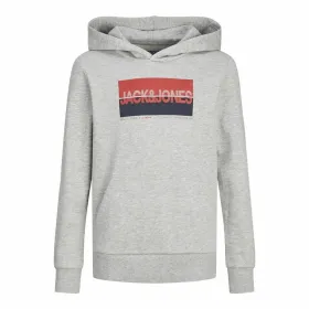 Vyriškas džemperis su gobtuvu Jack & Jones Jjnolan Pilka