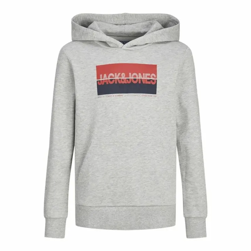 Vyriškas džemperis su gobtuvu Jack & Jones Jjnolan Pilka