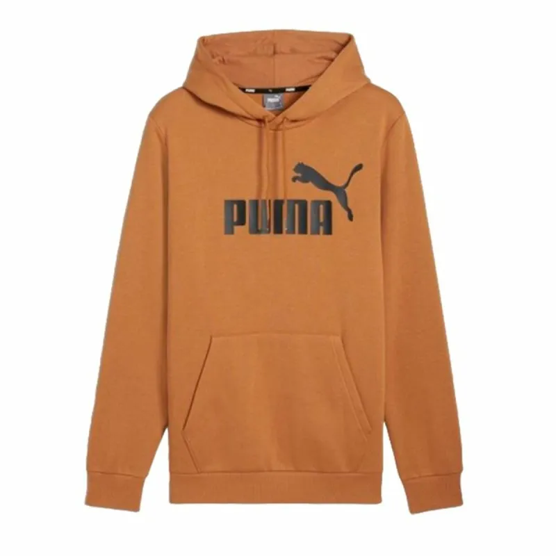 Толстовка с капюшоном мужская Puma Essentials Big Logo Hoodie Fl