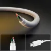 Spigen EB6010CC Essential - USB-C to USB-C Cable PD 60W 1m (White)
