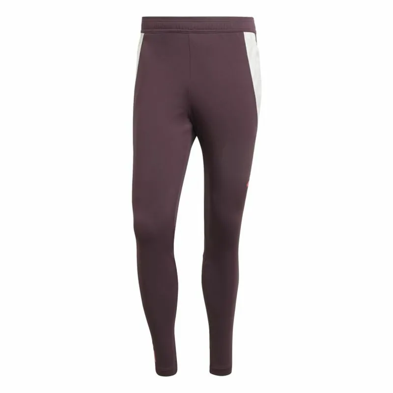 Ilgos sportinės kelnės Adidas Fc Bayern 24/25 Tiro24 Ruda Kaštoninė Vyras