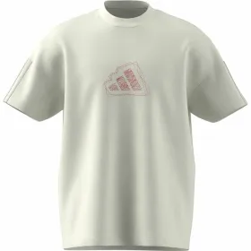 Футболка с коротким рукавом мужская Adidas All Szn Graphic Seasonal Белый