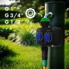 Vooliku Taimer Greenblue GB391