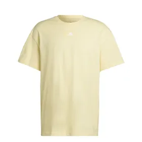 Футболка с коротким рукавом мужская Adidas HK2854