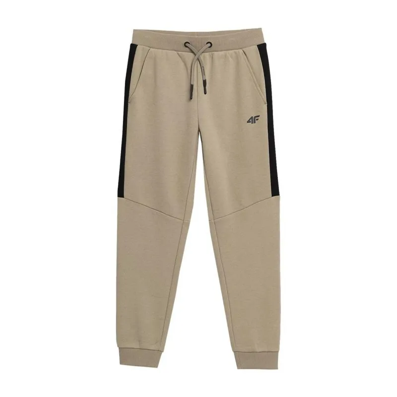 Long Sports Trousers 4F JSPMD002 Brown