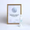 Lemmikkishampoo VETEXPERT                                 250 ml