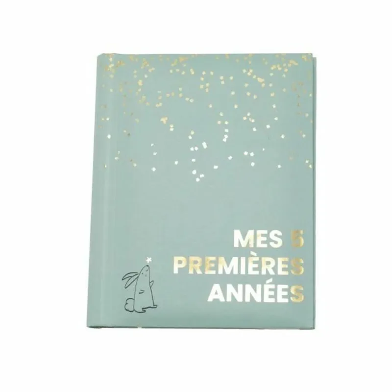 Albumas Domiva Mes 5 premieres annees