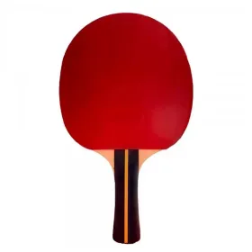 Pingponga rakete Softee P200