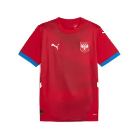 Sportiniai marškinėliai su trumpomis rankovėmis, vyriški Puma Serbia 2024