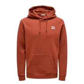 Vyriškas džemperis su gobtuvu Only & Sons Onsdawson Reg Hoodie Vd Ruda